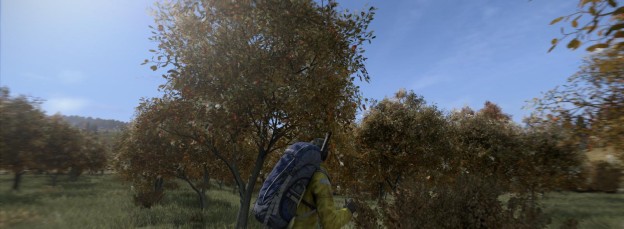 DayZ Screenshot 2