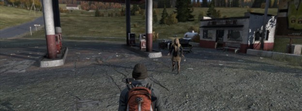 DayZ Screenshot 4
