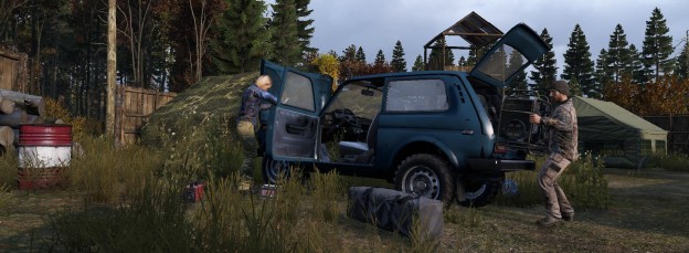 DayZ Screenshot 5