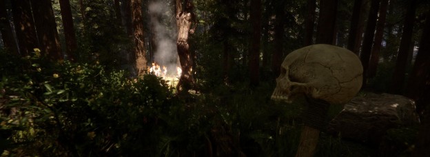 Sons Of The Forest Screenshot 2