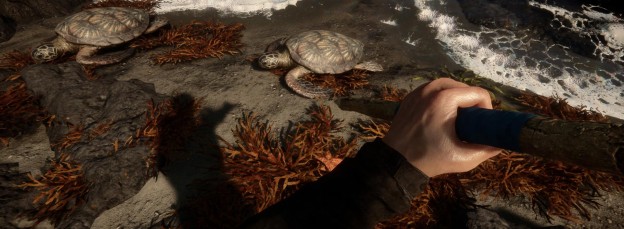 Sons Of The Forest Screenshot 4